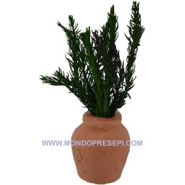 Terracotta vase with a plant