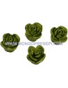 Set 4 pz insalata 1 cm