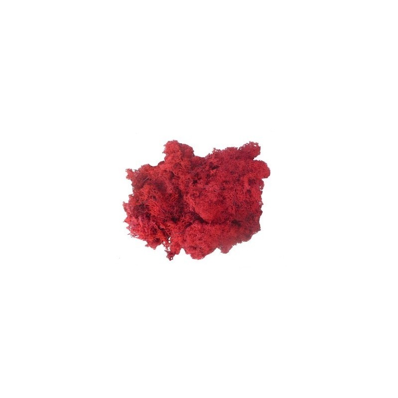 Lichene rosso 150 gr Mondo Presepi