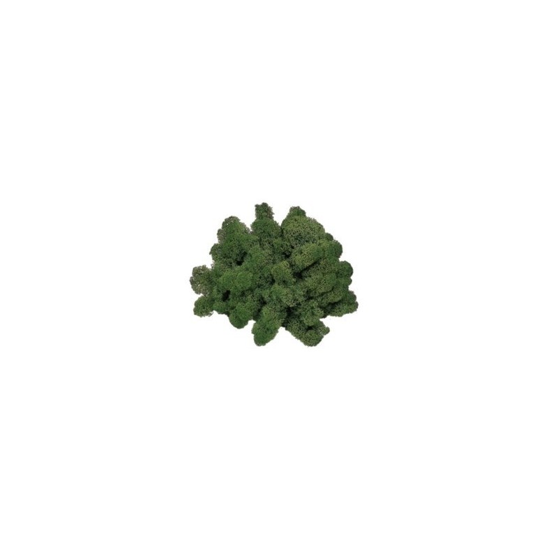 Lichen, moss green 50 g