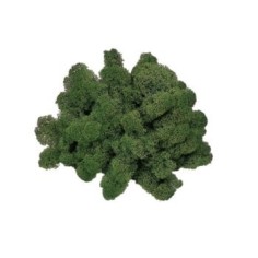 Lichen, moss green 1 Kg