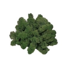Lichene verde muschio 1 Kg Mondo Presepi