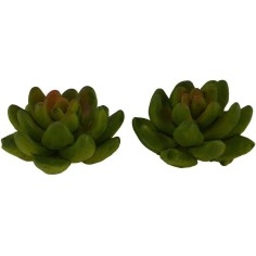 Set 2 piante 3 cm Mondo Presepi