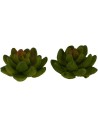 Set 2 piante 3 cm Mondo Presepi