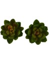 Set 2 piante 3 cm Mondo Presepi