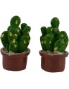 Set 2 pianete grasse 3 cm