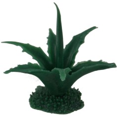 Agave deluxe h 4 cm