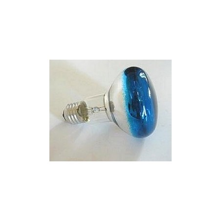 Lampada spot blu E27-60W -Lampade per centraline presepe Mondo